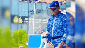 [VIDEO] Oyen ‘join’ raptai JPAM curi tumpuan netizen