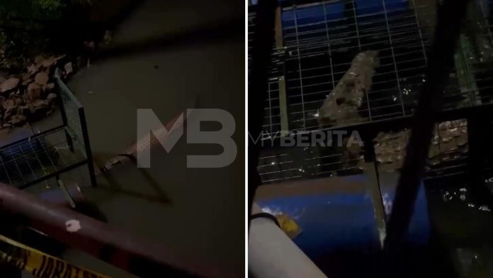 Buaya tular di Tampoi akhirnya masuk perangkap
