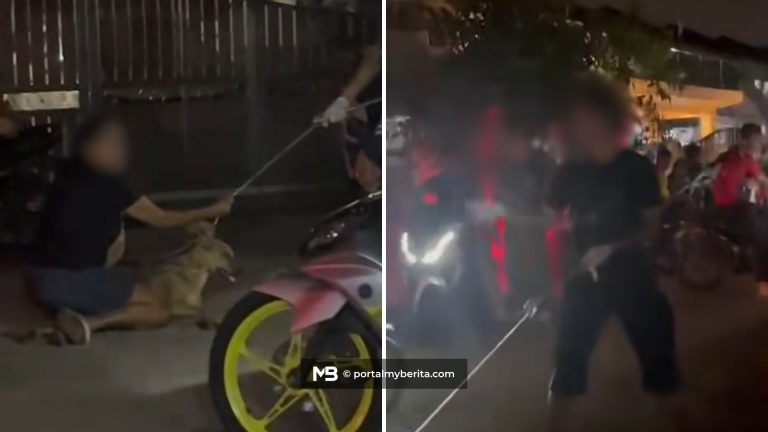 Polis siasat anggota MBDK diugut dengan pisau ketika operasi tangkap anjing liar