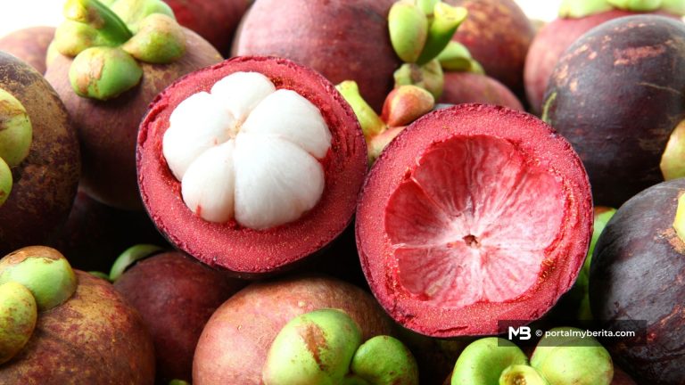 Bukan durian je… manggis pun ada sebab tak boleh naik kapal terbang
