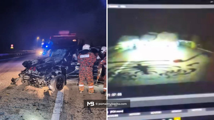 PERHILITAN pantau gajah dengan dron, elak kemalangan berulang