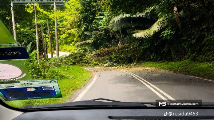Saksi dedah batu kecil gugur sebelum pokok hempap Ford Raptor