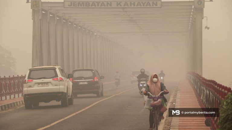 Gagal tangani kebakaran hutan, Presiden Indonesia berdepan saman