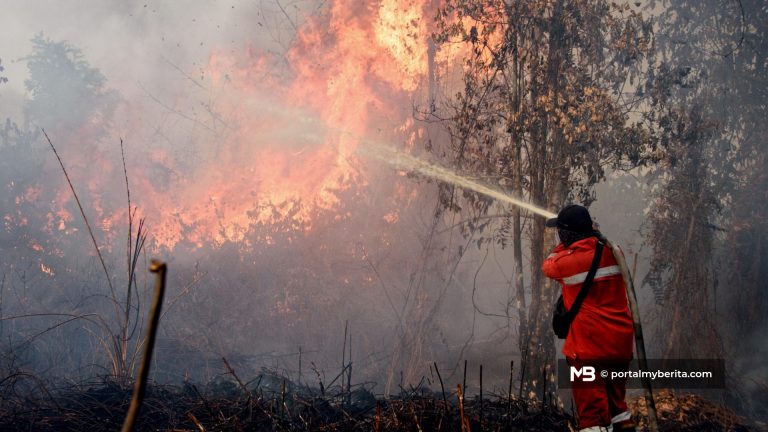 Kebakaran hutan Indonesia berlarutan, jerebu terus selubungi rantau